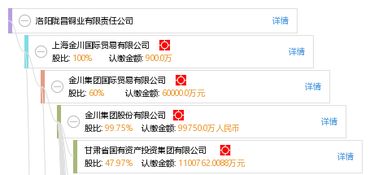 洛陽隴昌銅業(yè)有限責(zé)任公司 以品質(zhì)與創(chuàng)新引領(lǐng)銅業(yè)發(fā)展